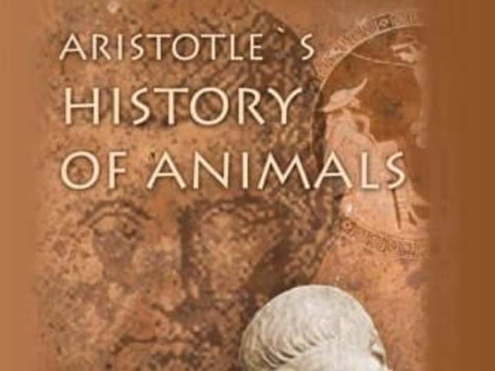 Cover image for Aristotle Story