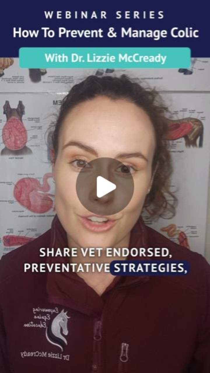 Cover image for Dr. Lizzie McCready Webinar: “How to Prevent & Manage Colic"