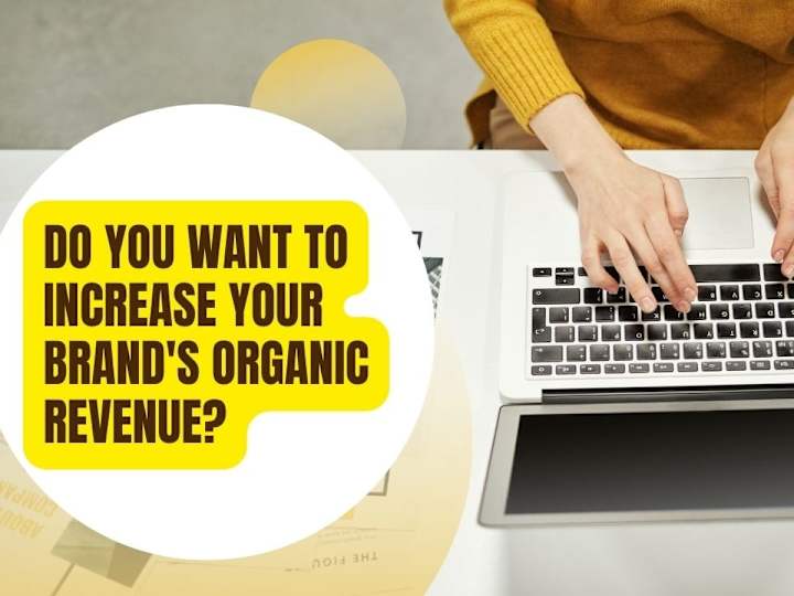 Cover image for Do You Want to Increase Your Brand's Organic Value