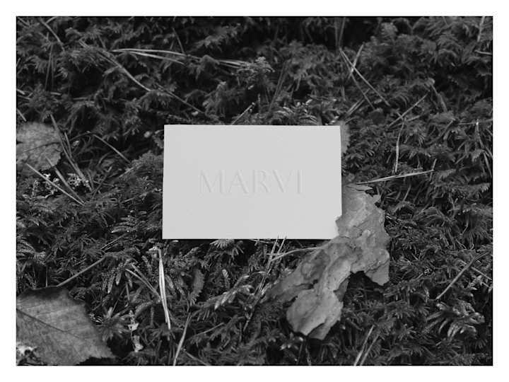 Cover image for Le Marvi — Visual Identity
