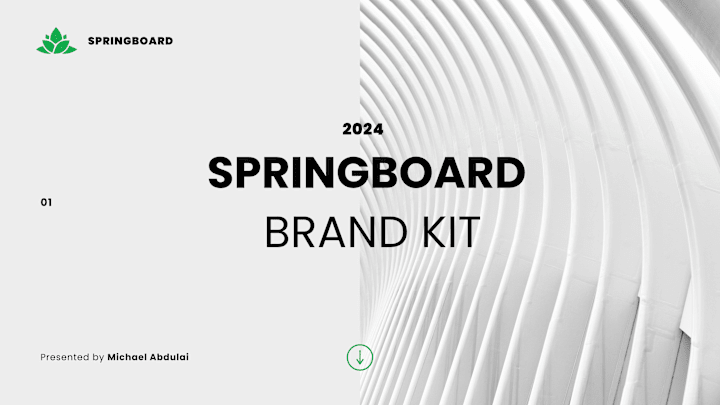 Cover image for SPRINGBOARD BRAND IDENTITY