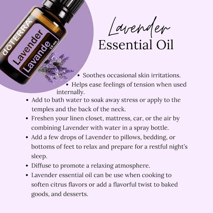 Cover image for The Ultimate Guide to Lavender Essential Oil