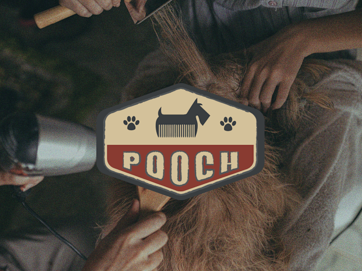 Cover image for POOCH: Dog Parlor Brand Identity