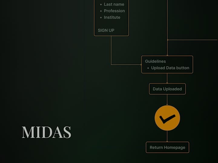 Cover image for MIDAS