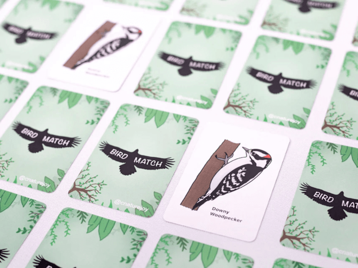 Cover image for BirdMatch