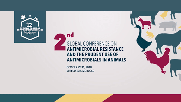 Cover image for 2nd Global Conference OIE