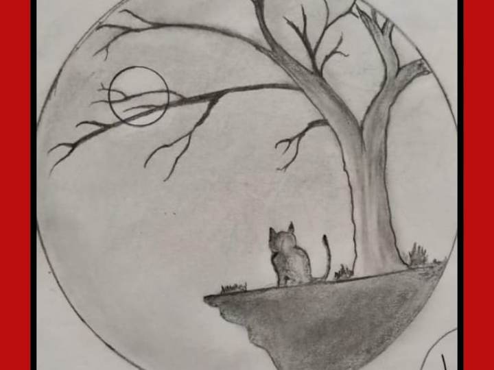 Cover image for Pencil Sketch of Moonlit Tree