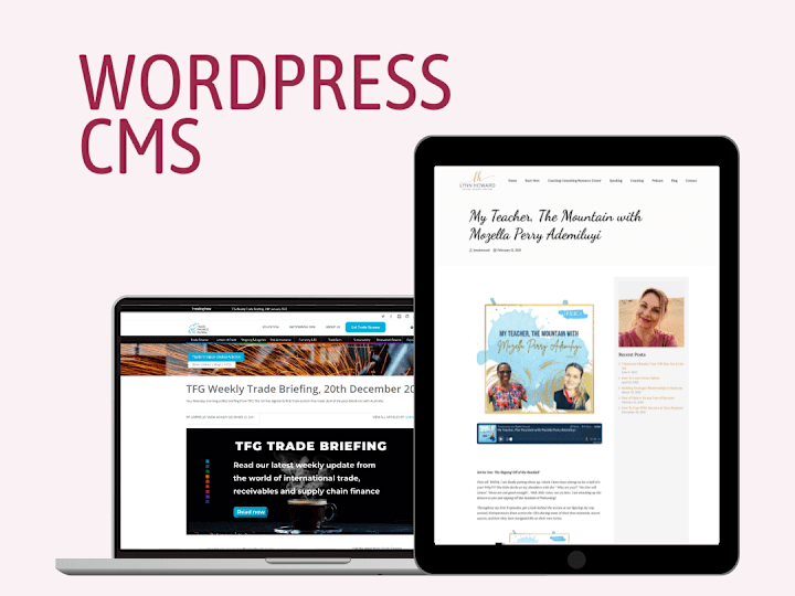 Cover image for WordPress Website Management