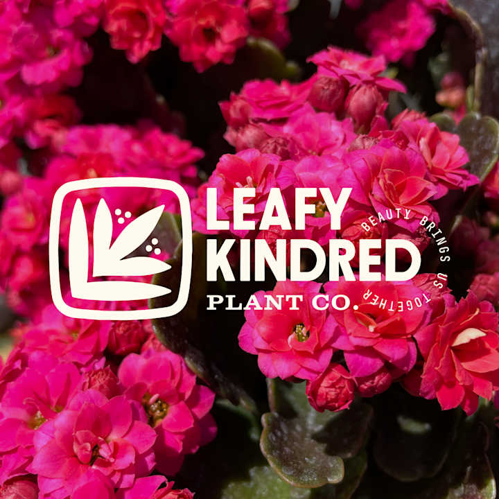 Cover image for Leafy Kindred Plant Co. Identity