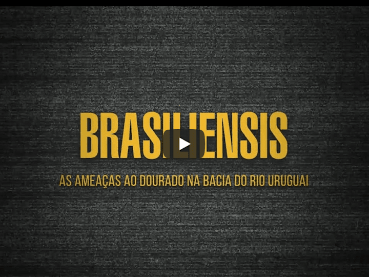 Cover image for Brasiliensis: Social-environmental documentary