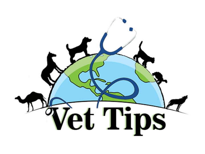 Cover image for Vet Tips - Home of Veterinary and Pets Tips