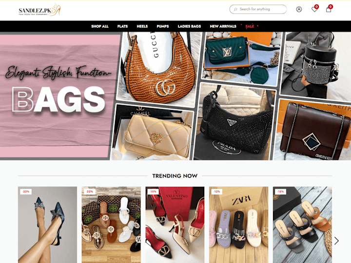 Cover image for Fashion Shopify E Commerce Store with Domain Migration and Payme