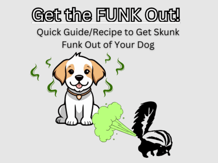 Cover image for Get the FUNK Out! Quick Guide/Recipe for a Skunk Sprayed Do