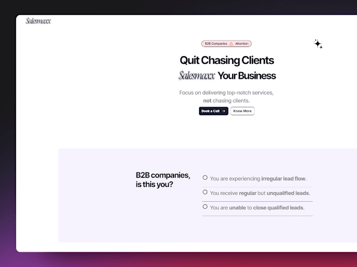 Cover image for Salesmaxx