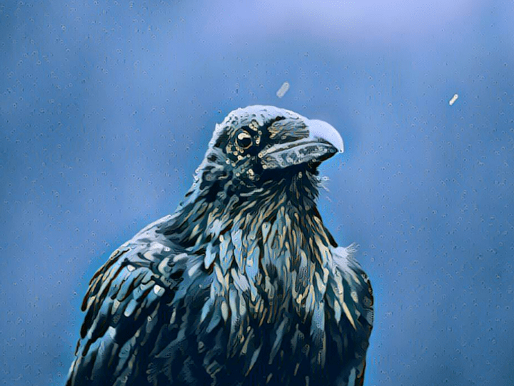 Cover image for The Crow Ate The Rose | Kindle Vella