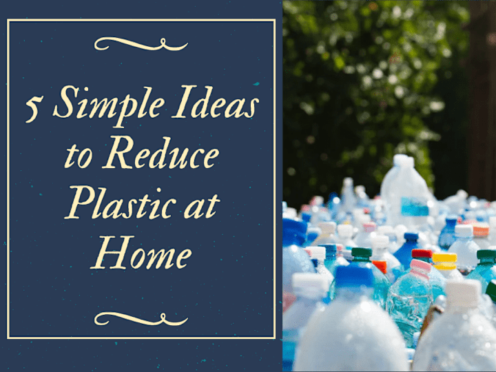 Cover image for SEO Blog Writing: 5 Simple Ideas to Reduce Plastic at Home