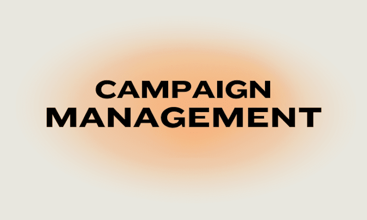 Cover image for TAILORED CAMPAIGN MANAGEMENT