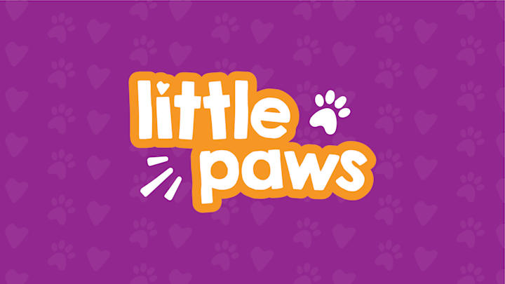 Cover image for Little Paws Branding