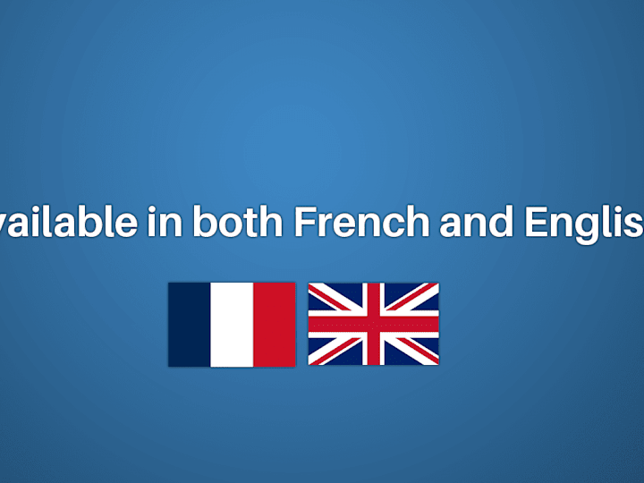 Cover image for Support SAV , Représentant service clientèle 