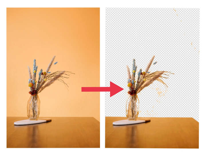 Cover image for Professional Background Remover