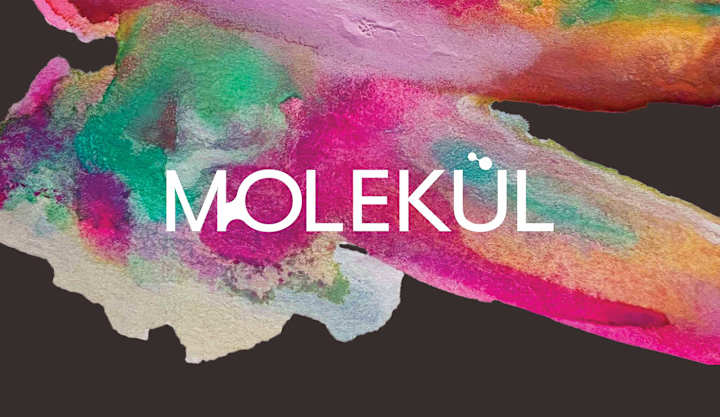 Cover image for Molekül Artisan Chocolate