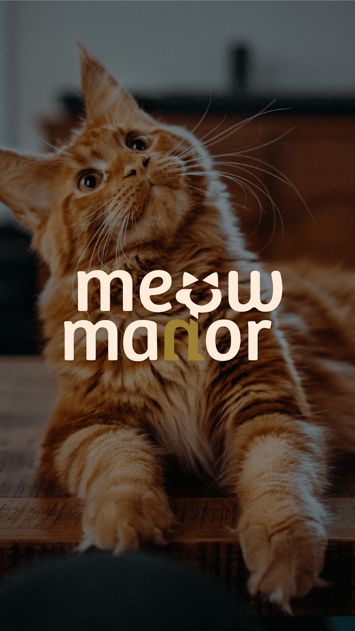 Cover image for Meow Manor Cat Cafe - Visual Identity