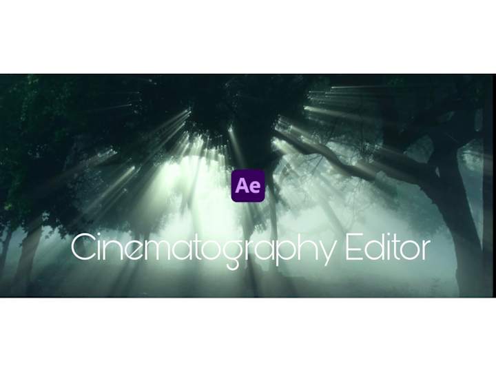 Cover image for CINEMATOGRAPHY EDITOR