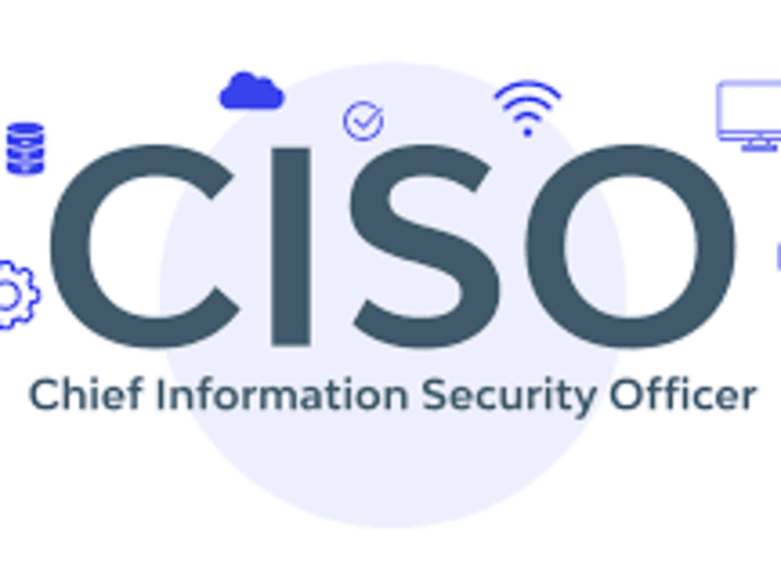 Cover image for vCISO services