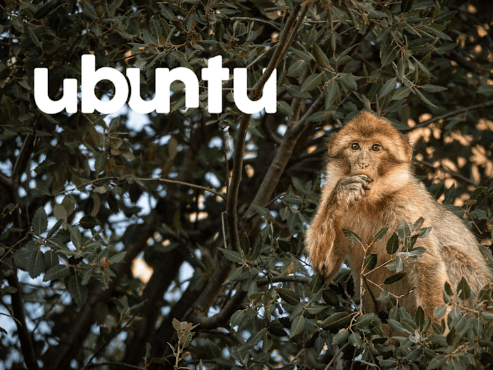 Cover image for Ubuntu Magazine - Brand Identity