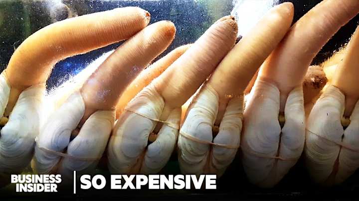 Cover image for Geoduck Industry Market Risk Analysis