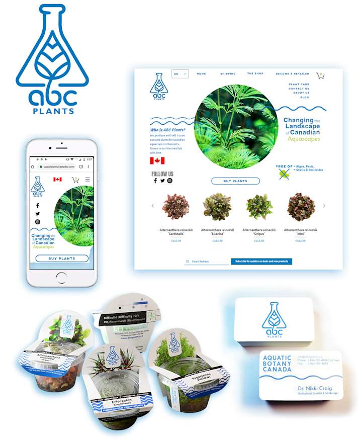 Cover image for Branding for ABC Plants