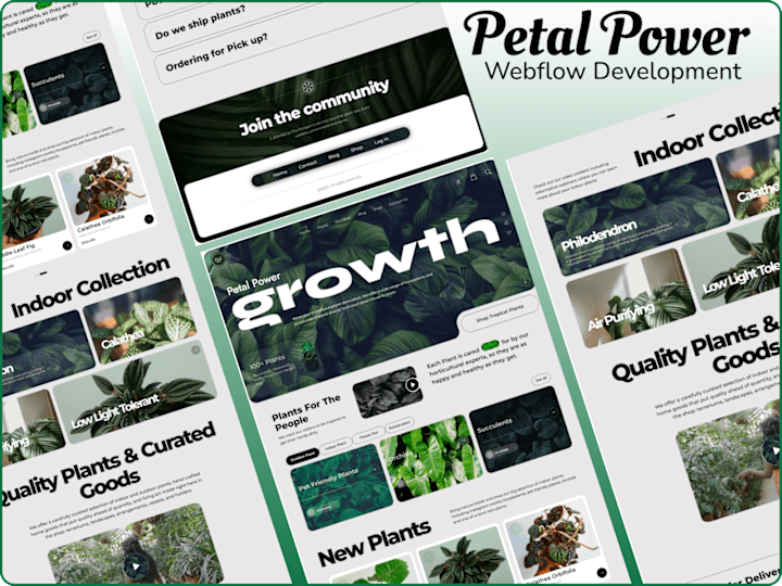 Cover image for Petal Power - Webflow Development