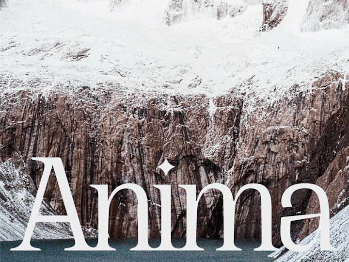 Cover image for Anima Travels - Web Design (Framer)