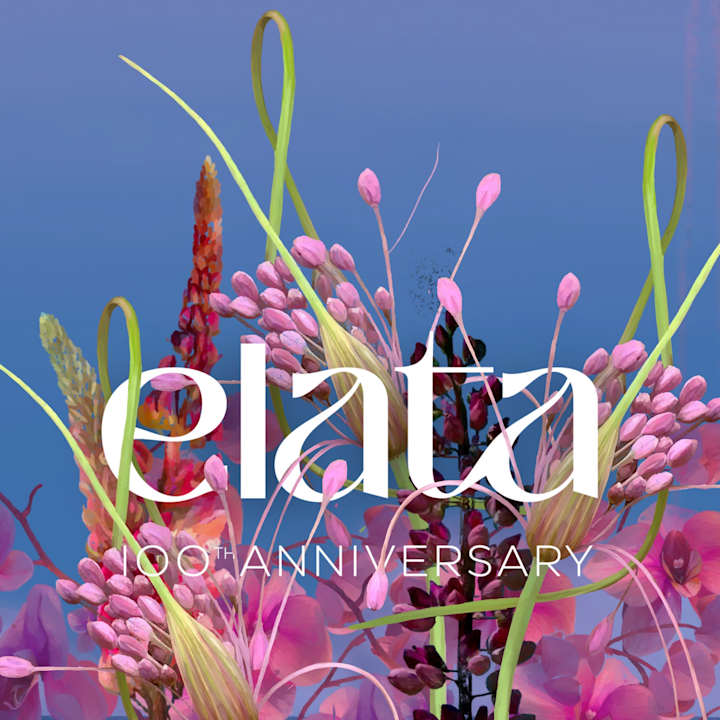 Cover image for Elata 1923 - motion design project