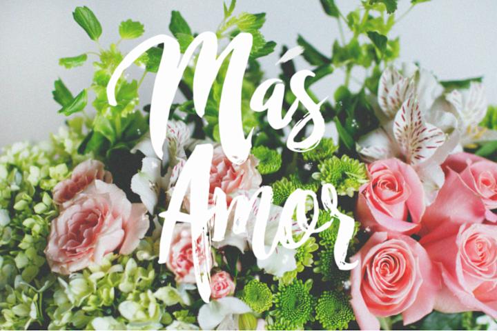 Cover image for Branding | Photography | Editing Flower Catalog