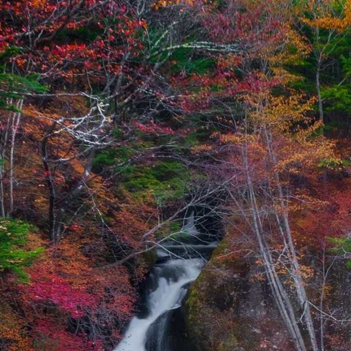 Cover image for Mochamad Arif Pamuda Darmawan on Instagram: ”“To sit in the sha…