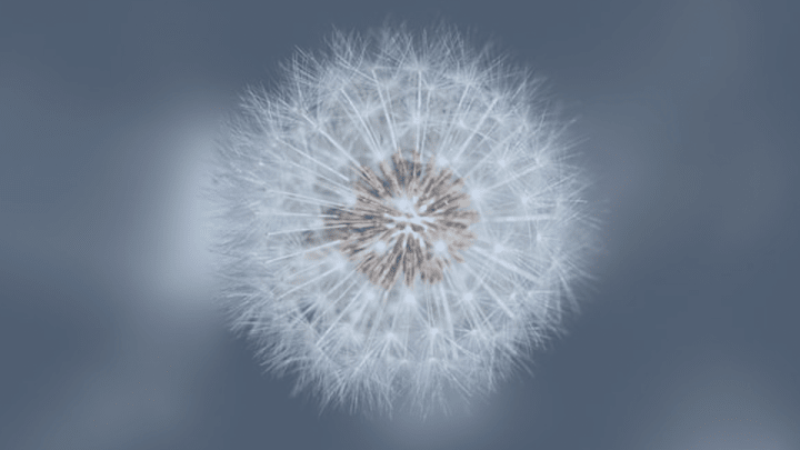 Cover image for Are You A HSP (Highly-Sensitive Person)?