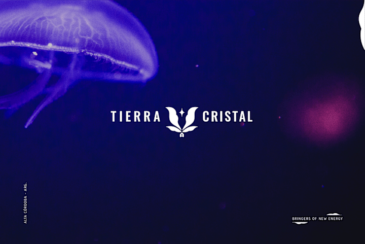 Cover image for Brand Identity for Holistic Studio