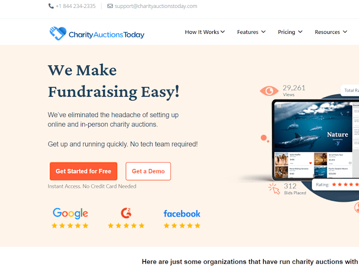 Cover image for Charityauctionstoday