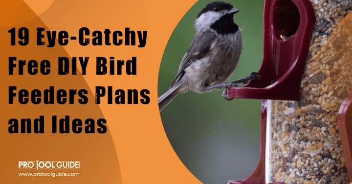 Cover image for 19 Eye-Catchy Free DIY Bird Feeders Plans and Ideas