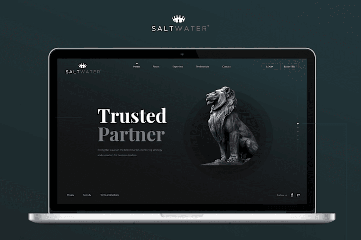Cover image for Saltwater -Website