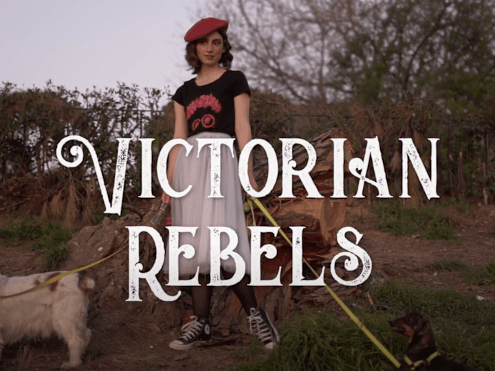 Cover image for Victorian Rebels