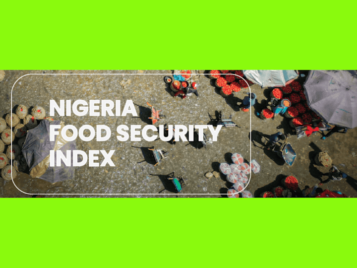 Cover image for Nigeria Food Security Project