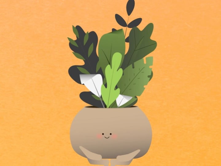 Cover image for Bloom - 2D Animation