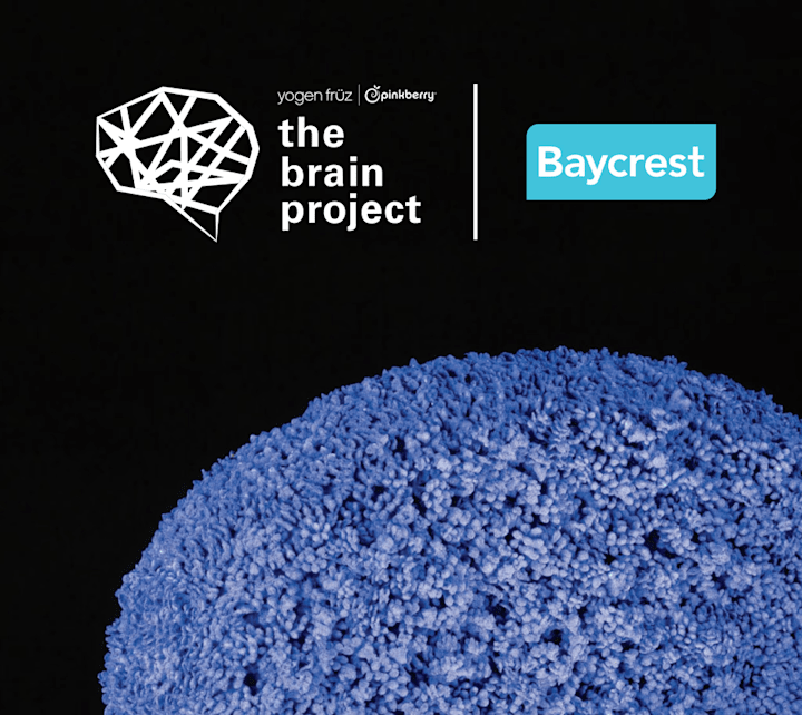 Cover image for Baycrest x Yogen Früz Pinkberry Brain Project Website Revamp