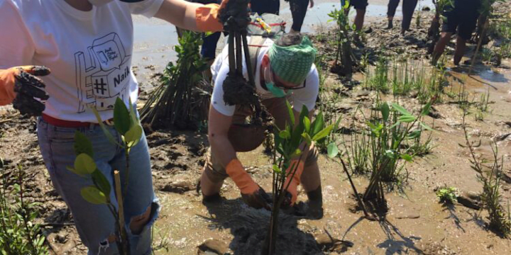 Cover image for Mitigating Environmental Impacts at Jakarta Bay