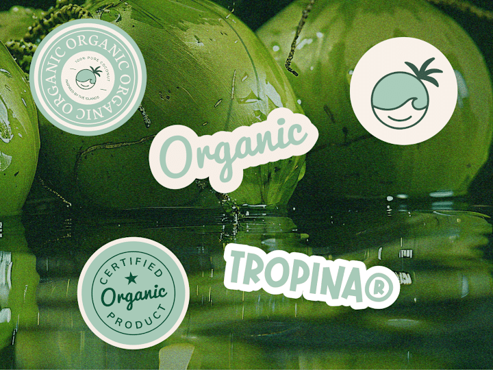 Cover image for Tropina: Brand Identity Design