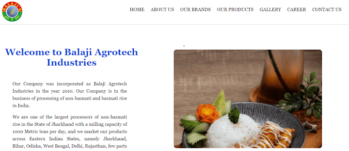 Cover image for Balaji AgroTech | Website Development