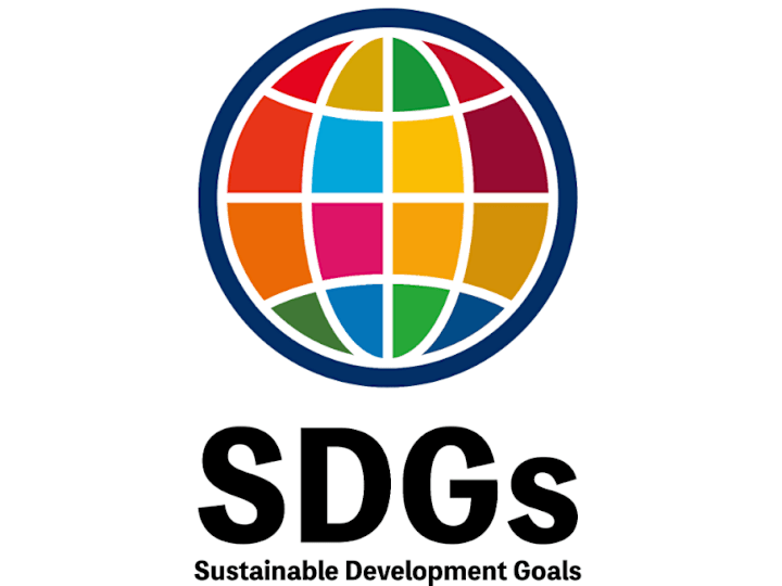 Cover image for Aligning UN SDGs with CO2 Reduction