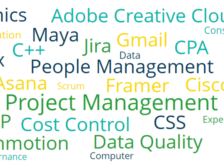 Cover image for Technical Project Management 